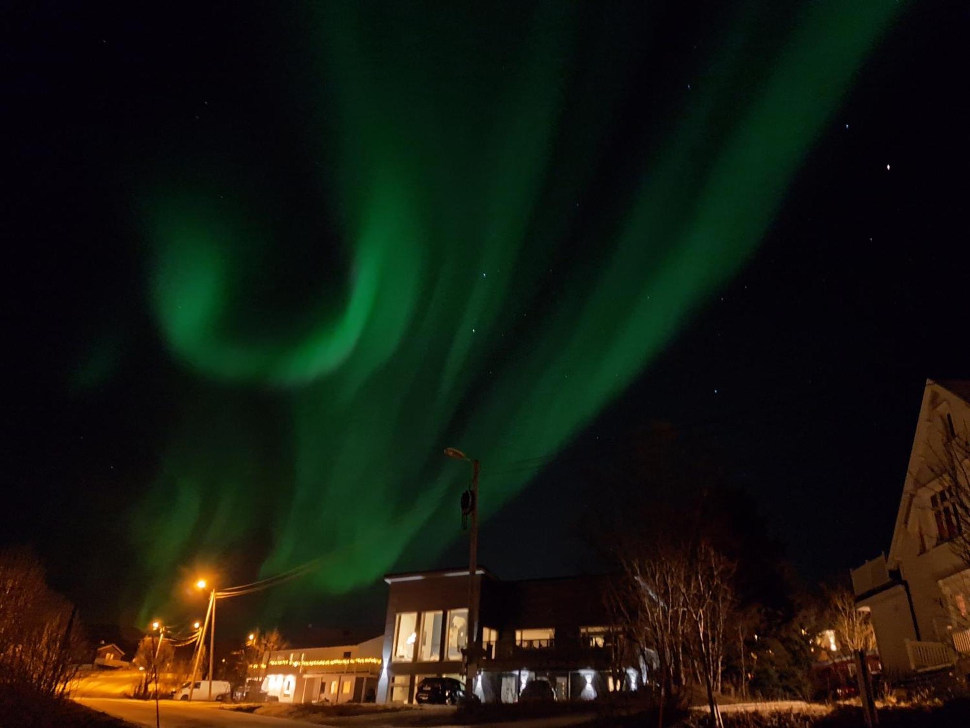 The House Of Aurora II Daire Tromsø Oda fotoğraf