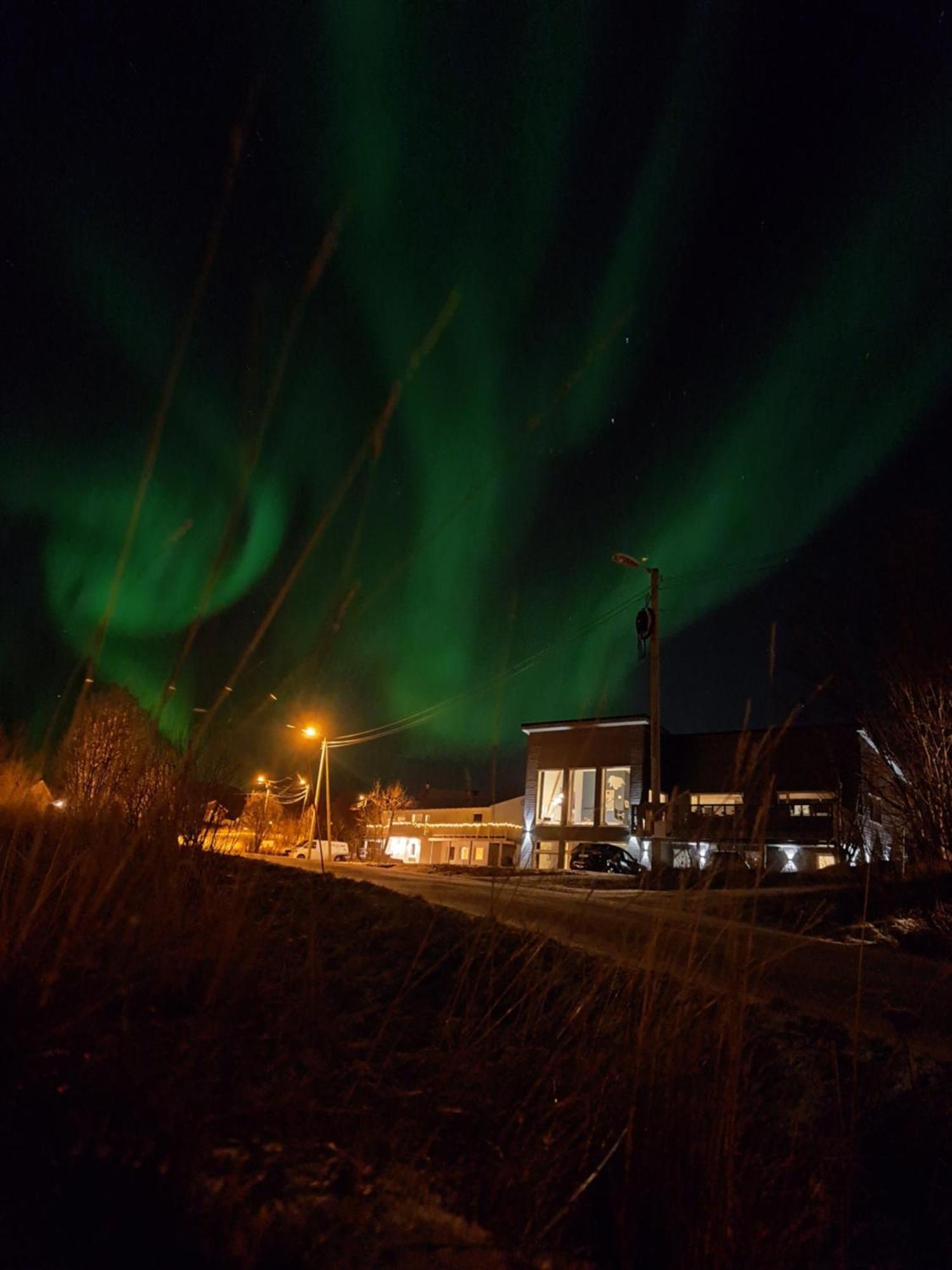 The House Of Aurora II Daire Tromsø Oda fotoğraf