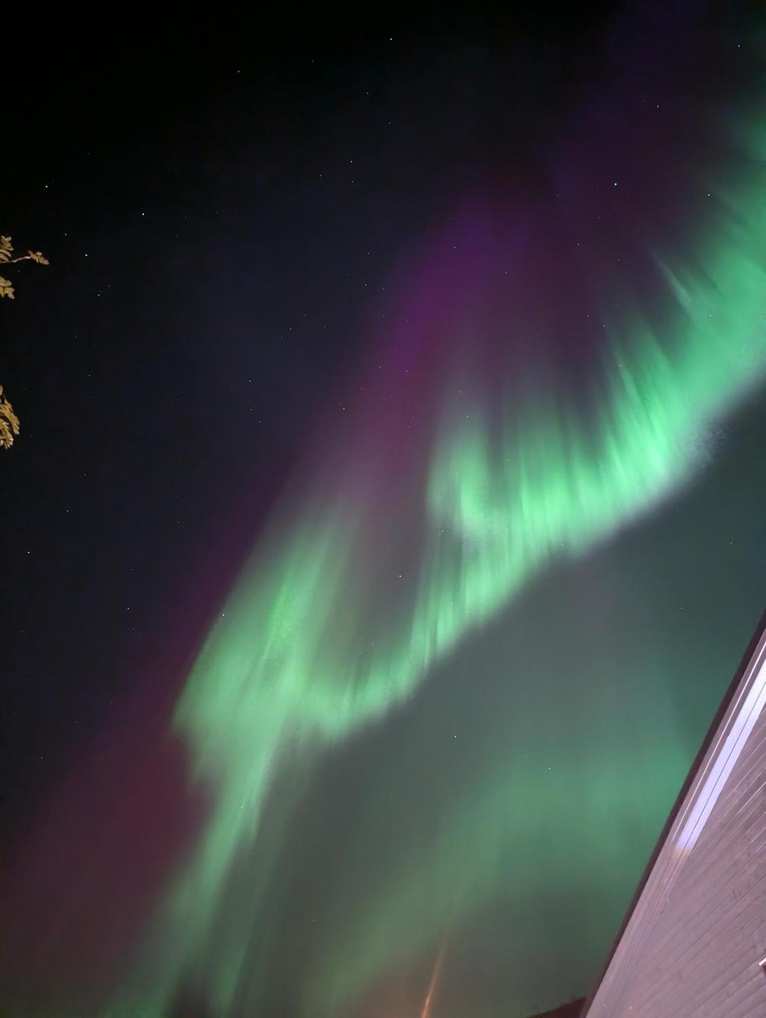 The House Of Aurora II Daire Tromsø Dış mekan fotoğraf