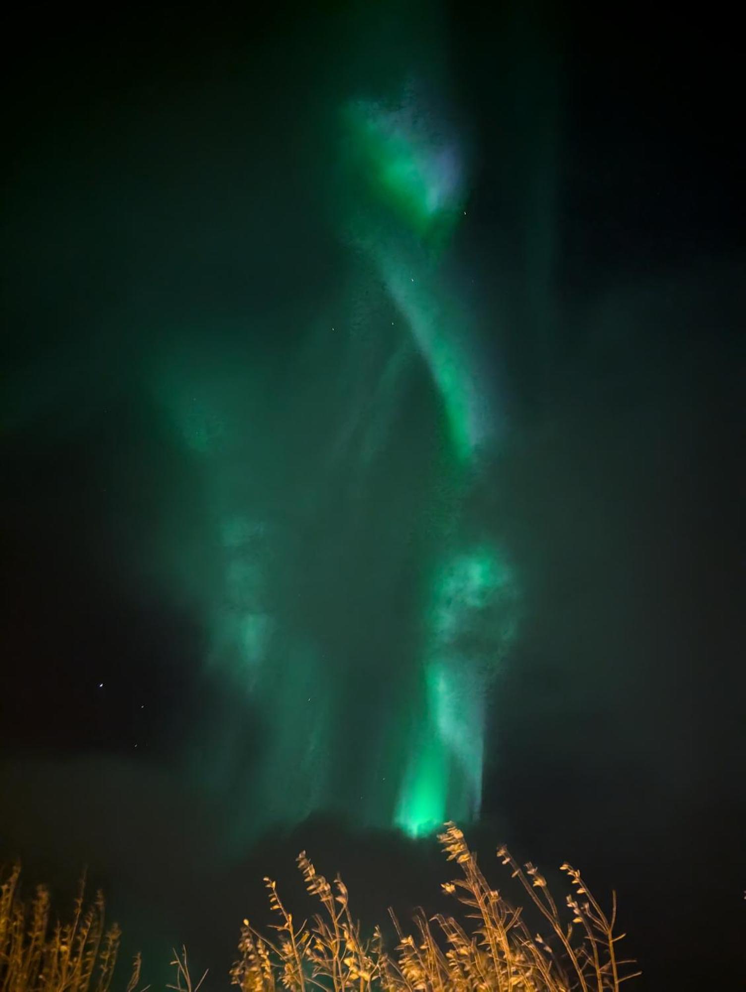 The House Of Aurora II Daire Tromsø Dış mekan fotoğraf